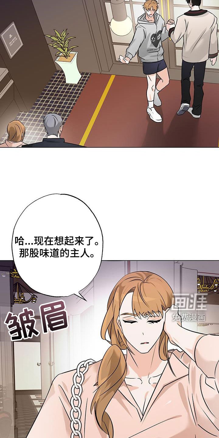 第16章：随心所欲