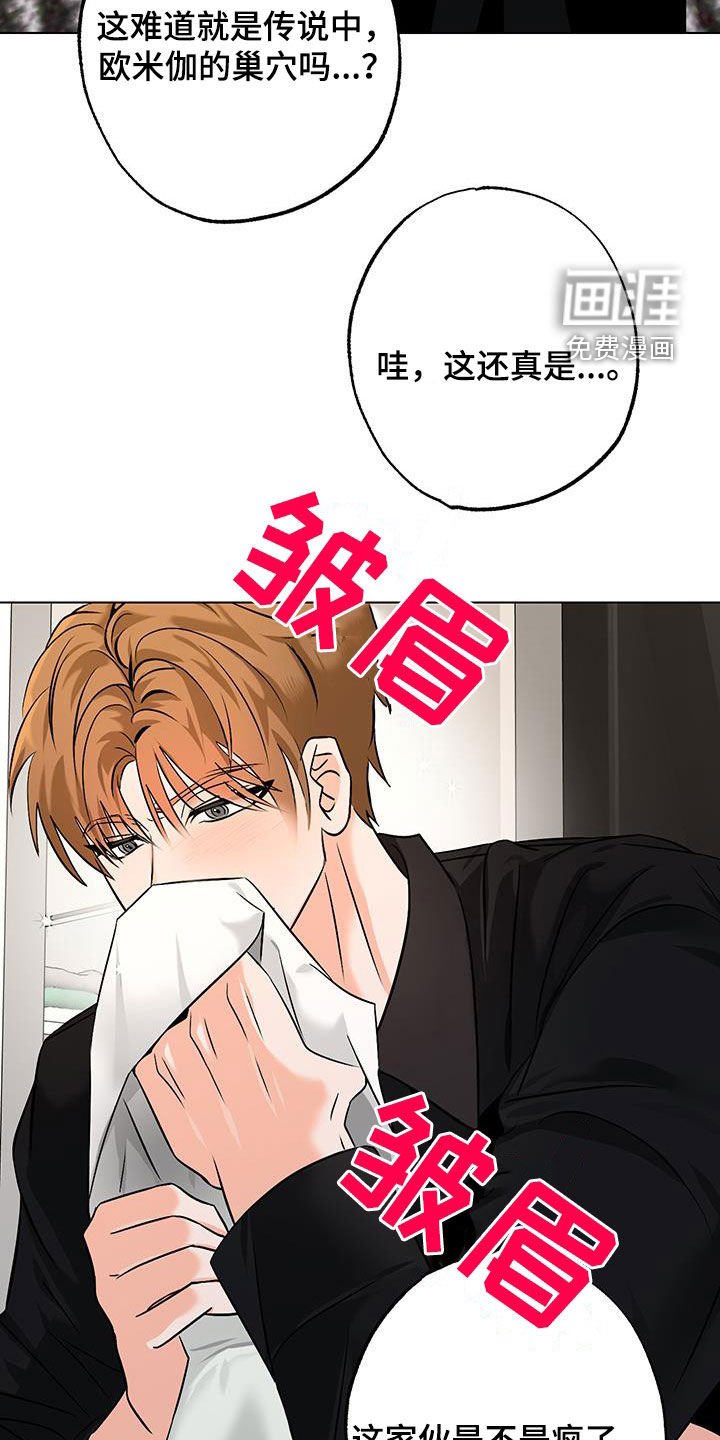 第21章：欧米伽的巢穴