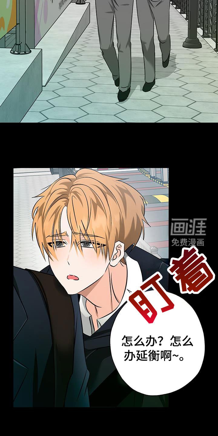 第34章：真心爱着你