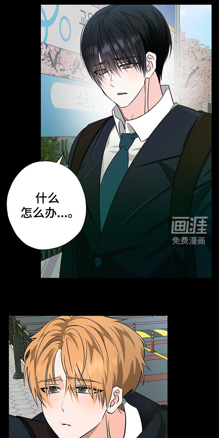第34章：真心爱着你