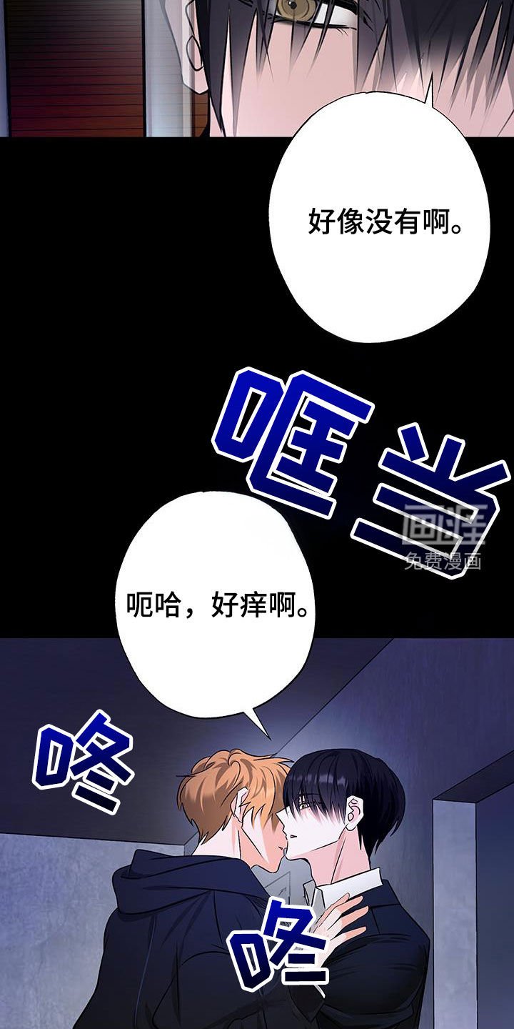 第34章：真心爱着你