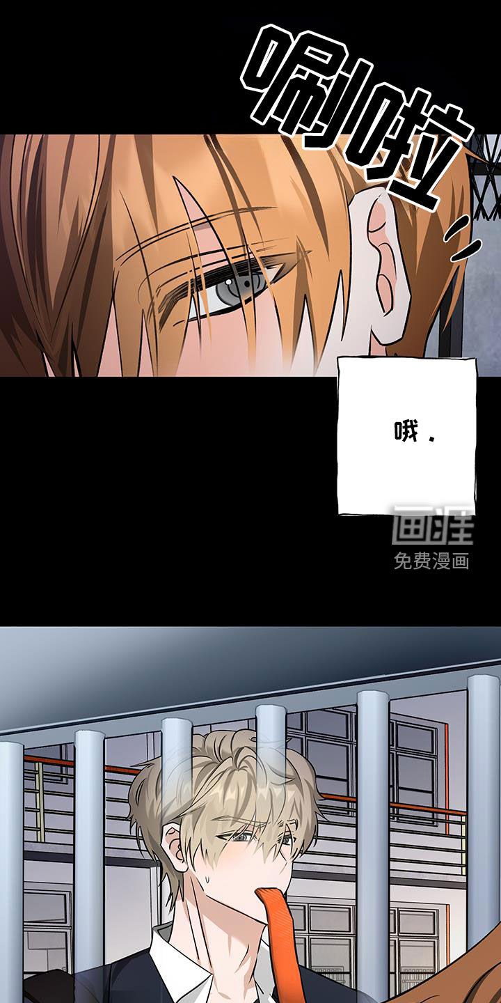 第34章：真心爱着你