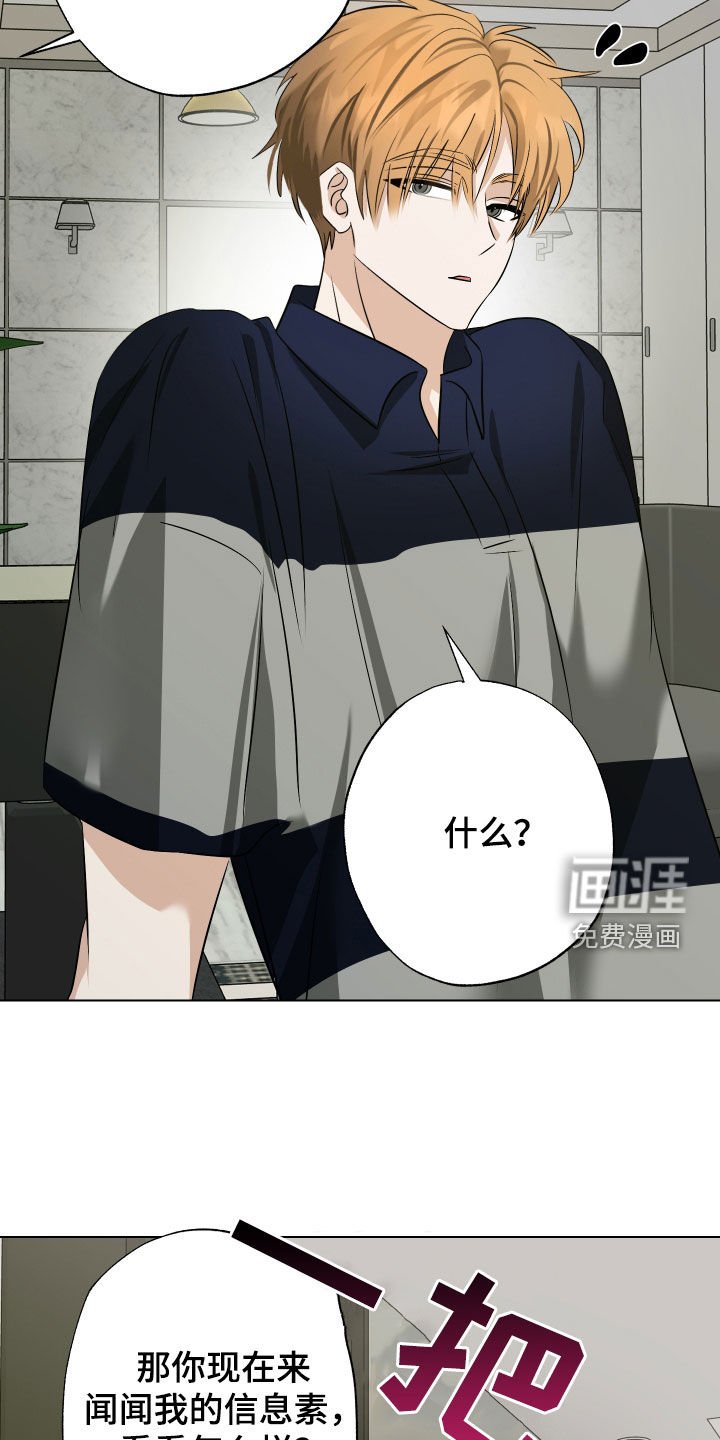 第37章：当做没发生