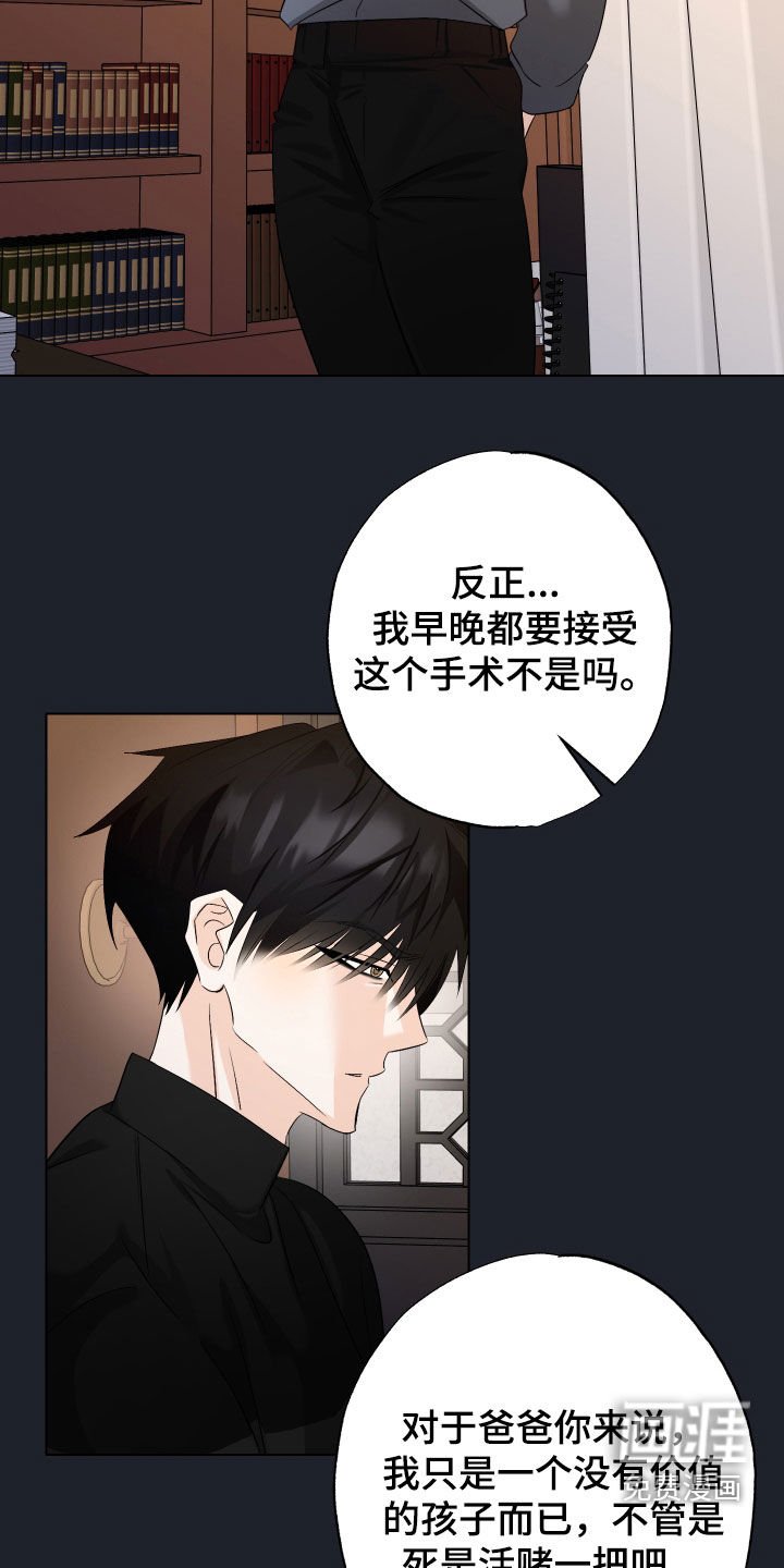 第47章：【第二季】赌一把