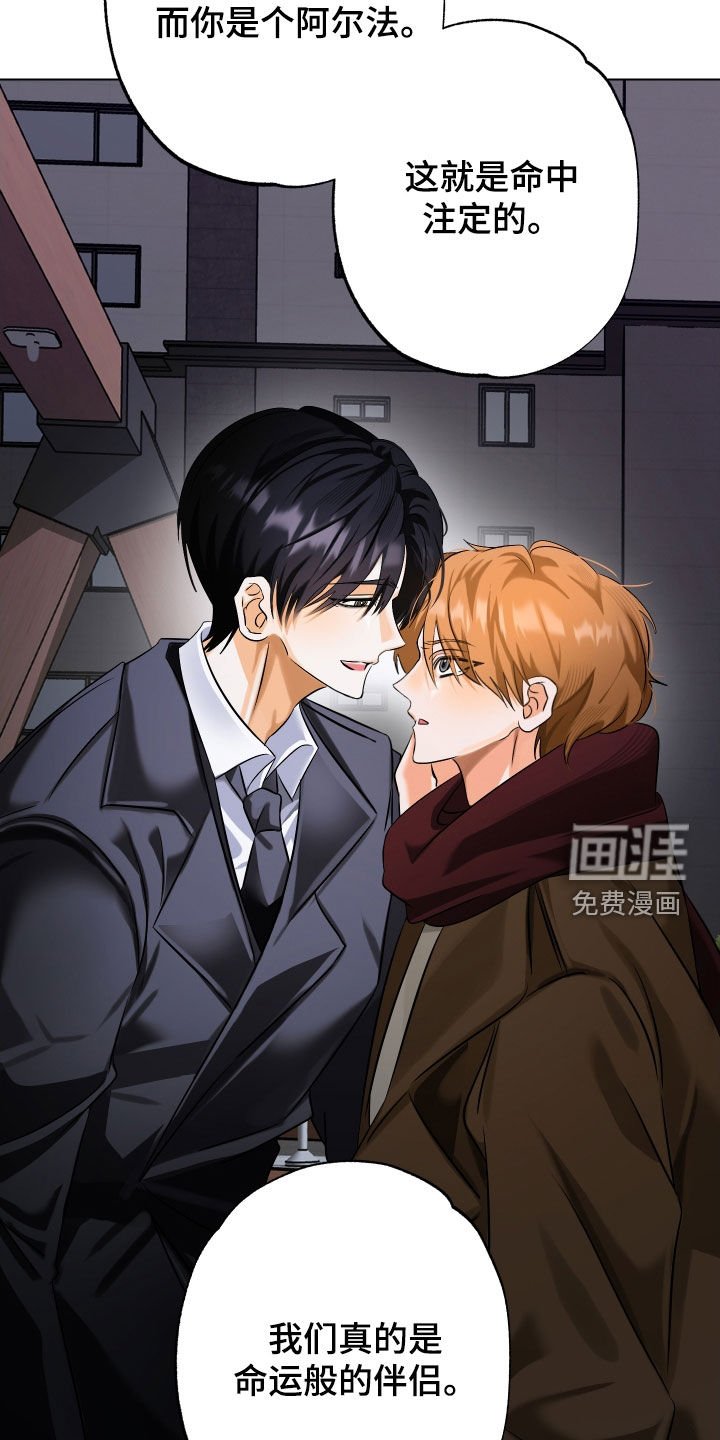 第71章：【第二季】命中注定