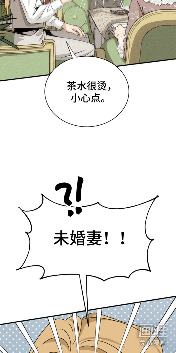 第24章：舞会