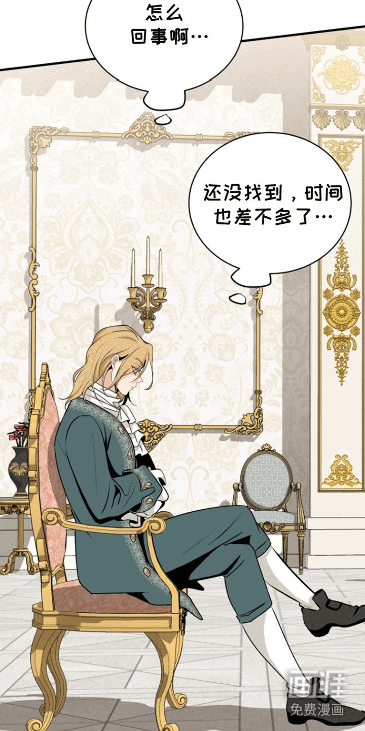 第26章：冒认