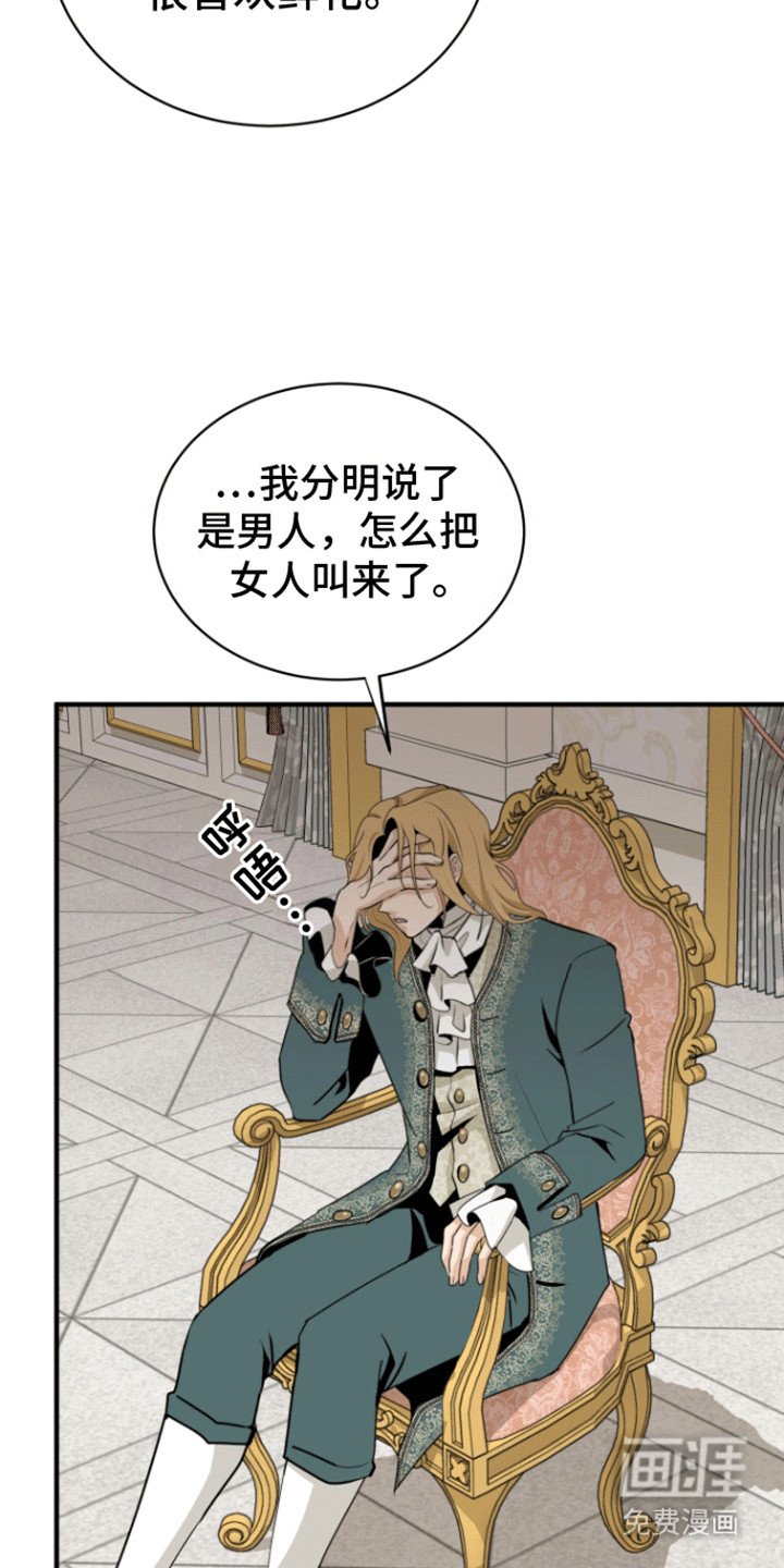 第26章：冒认