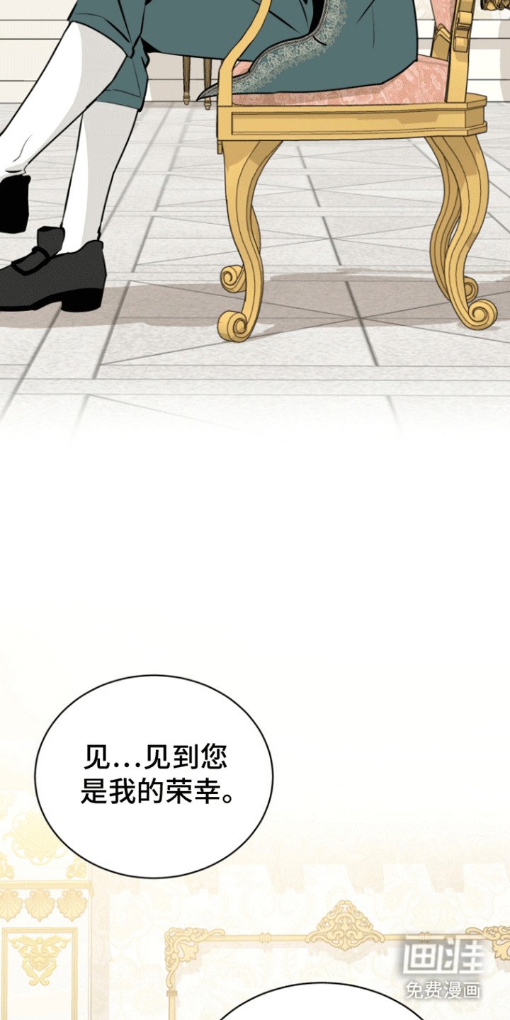 第26章：冒认