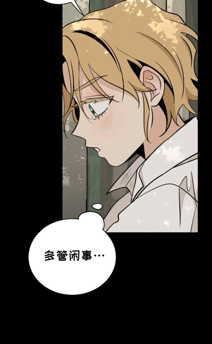 第3章：管闲事