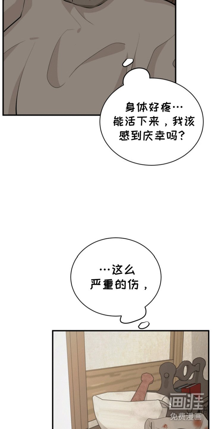 第39章：只能是回忆（完结）
