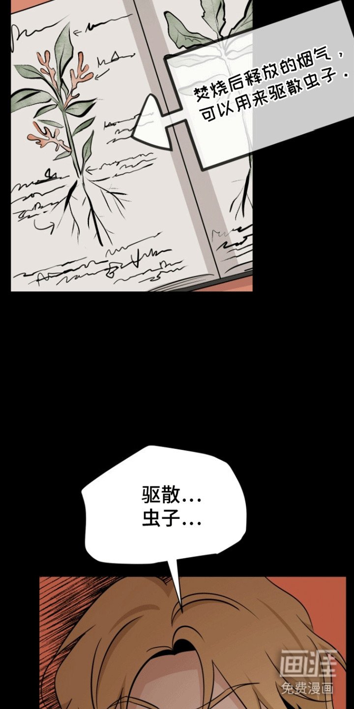 第5章：道歉