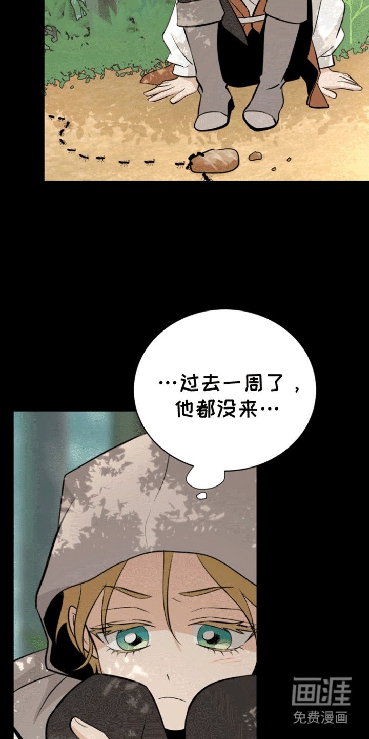 第5章：道歉