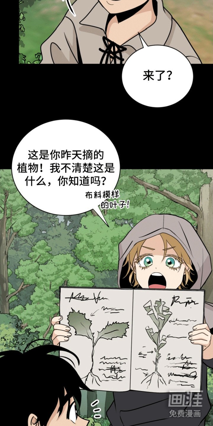 第8章：喜欢