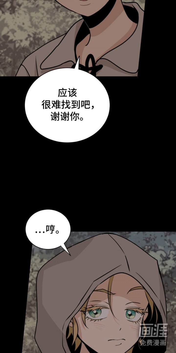第8章：喜欢