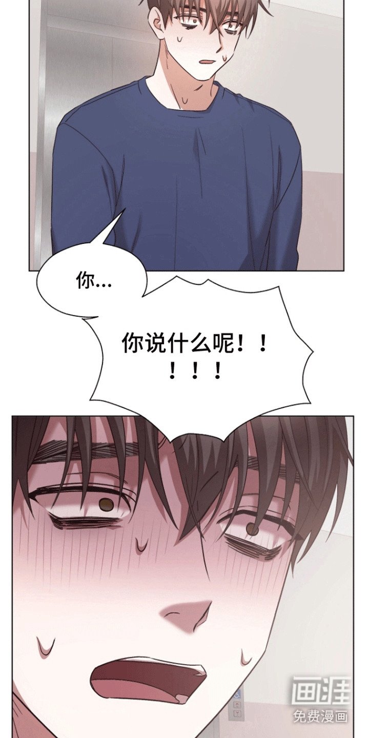 第14章：撒谎