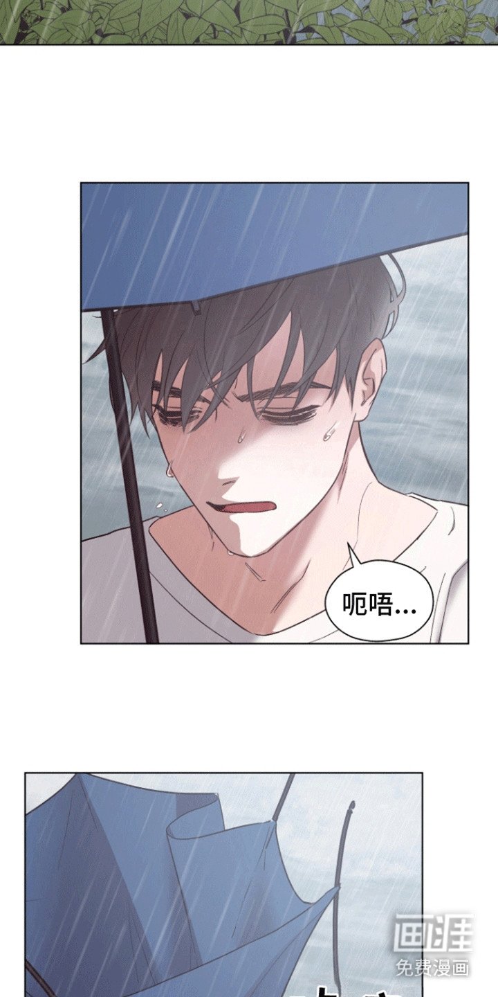 第19章：看破谎言