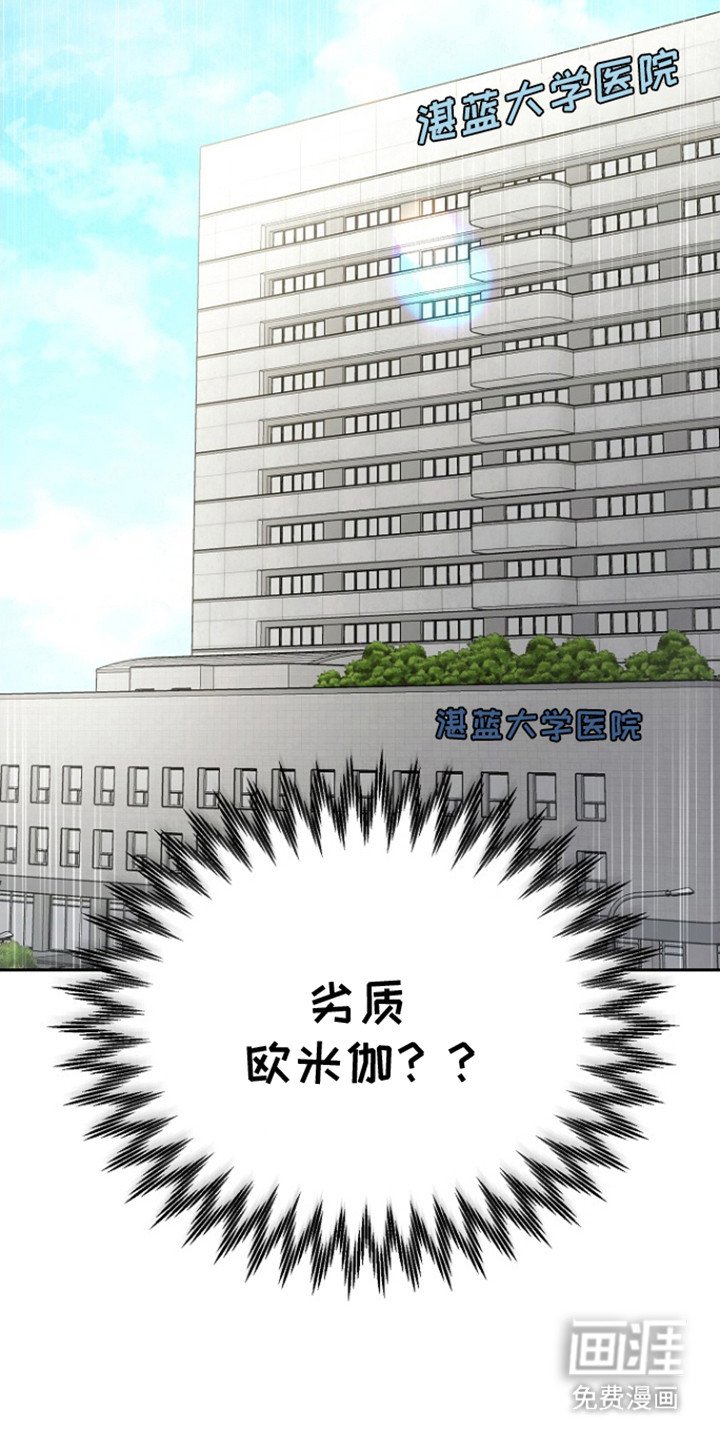 第1章：分化