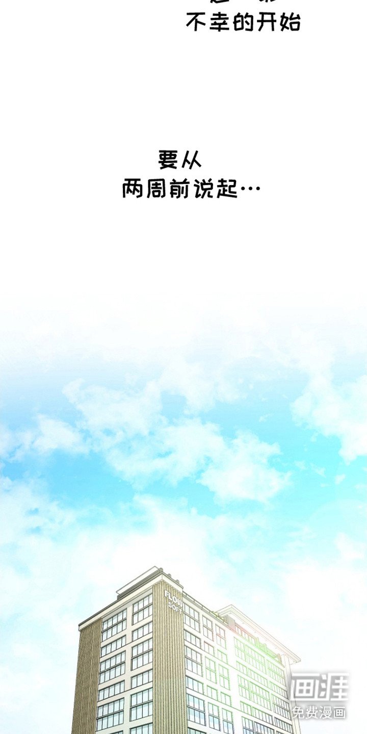 第1章：分化