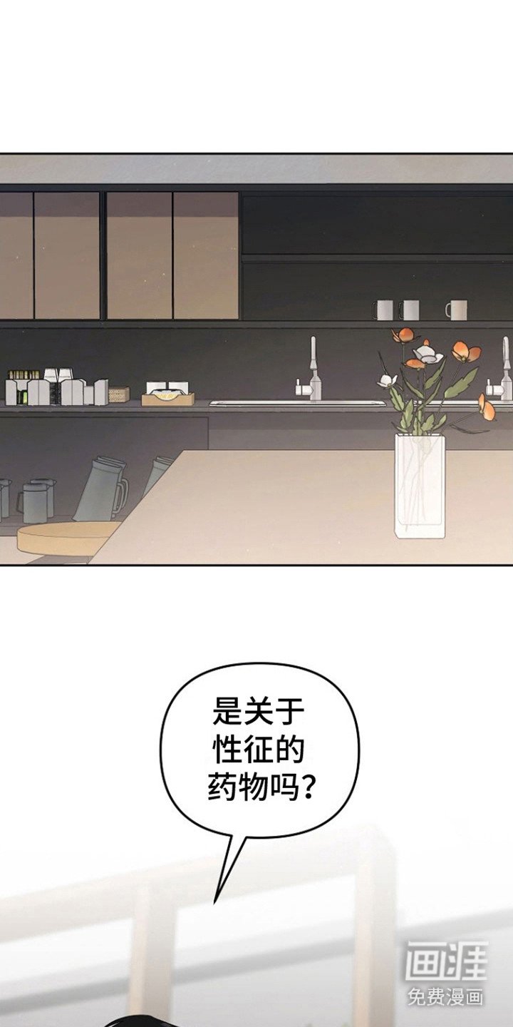 第12章：拍摄
