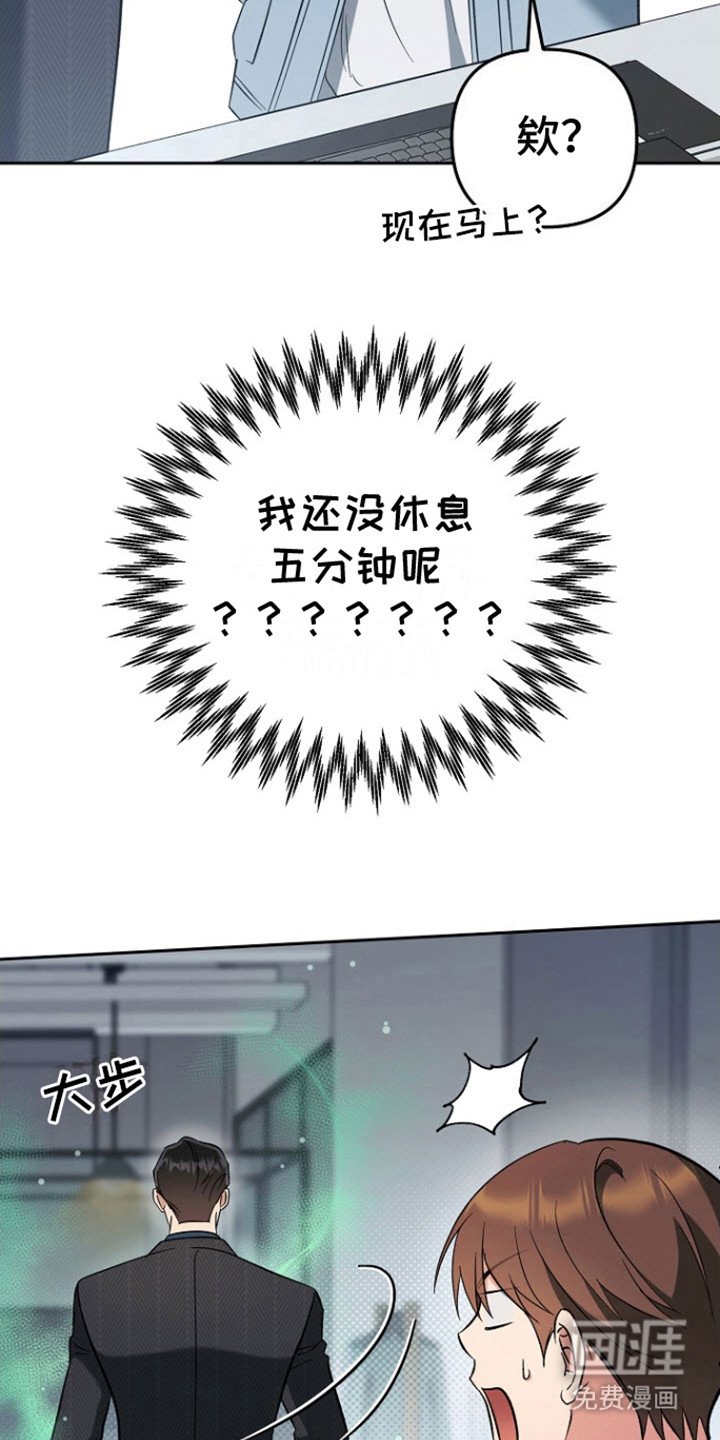 第13章：关心