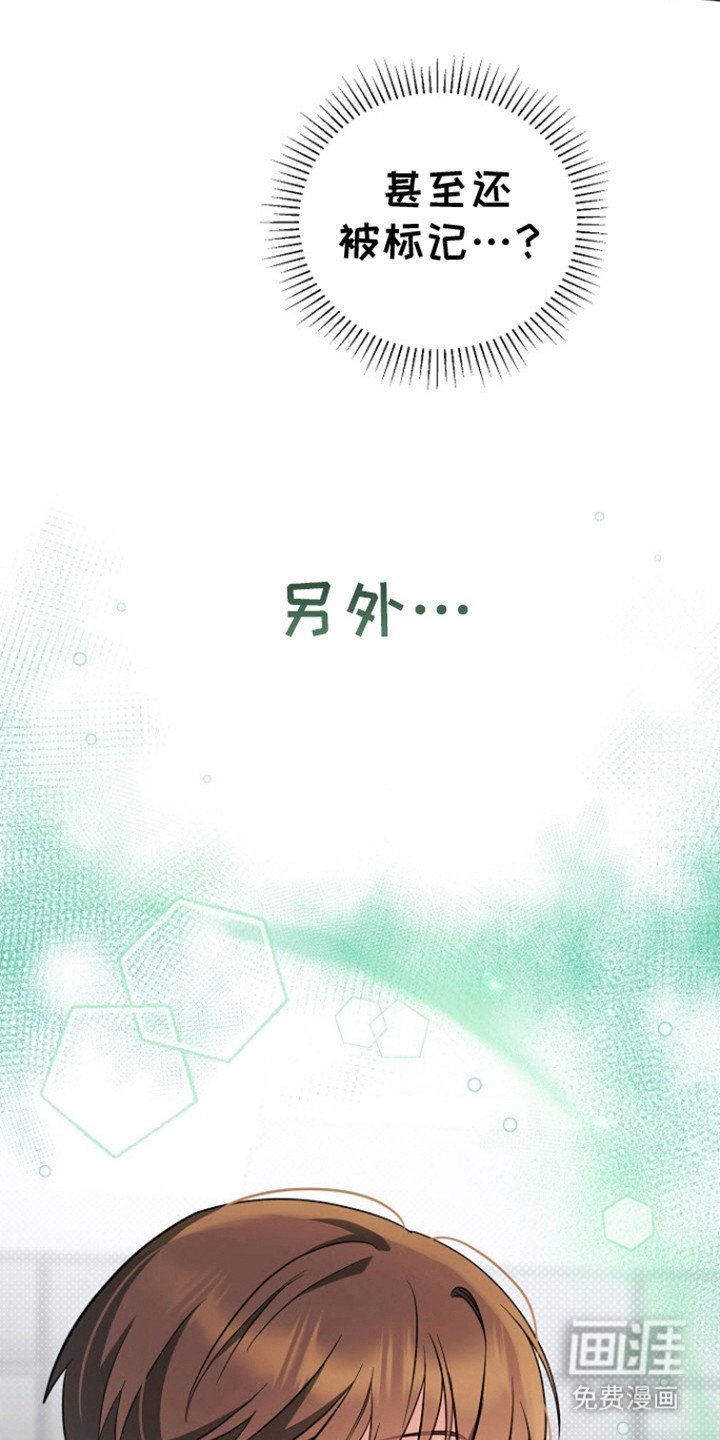 第14章：标记