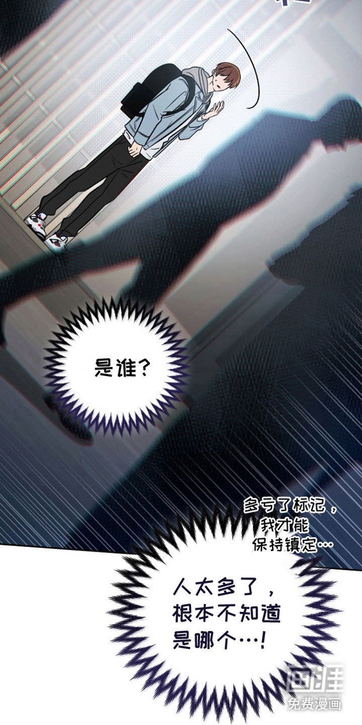 第15章：再次出现