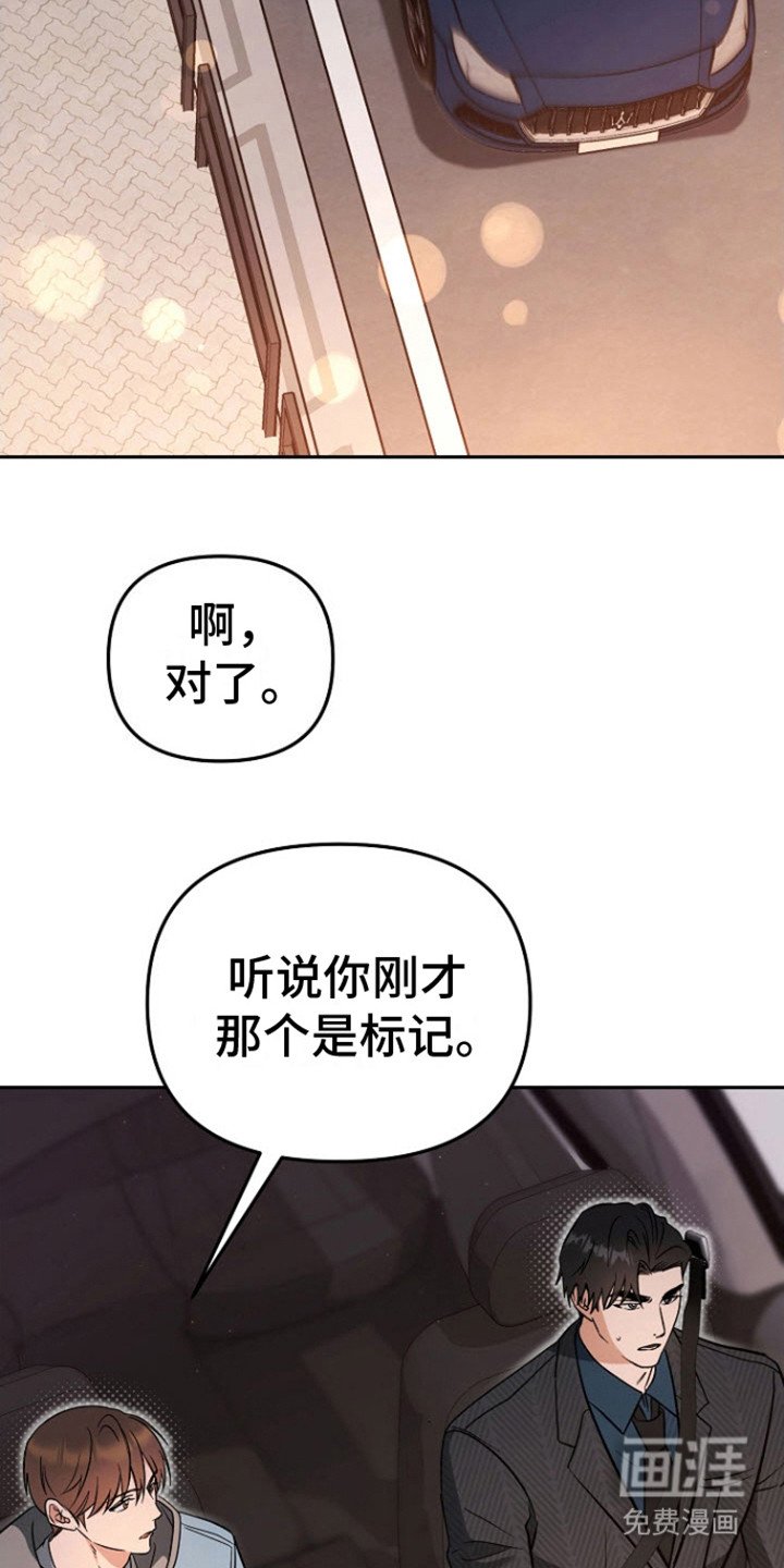 第15章：再次出现