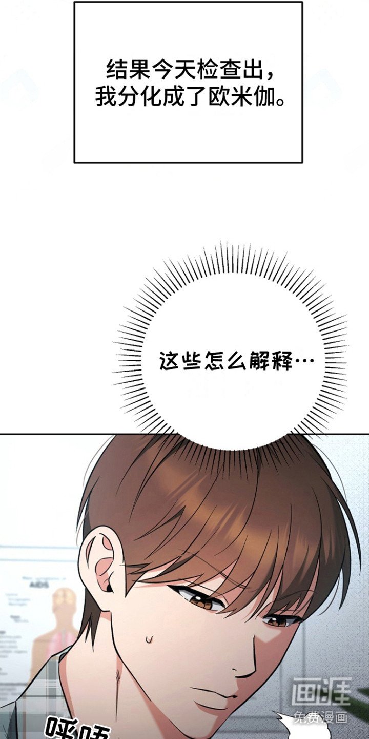 第3章：橘子皮味