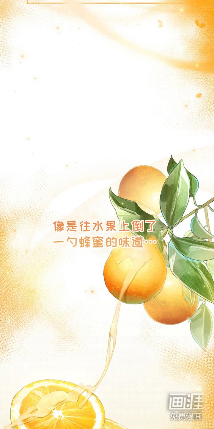 第3章：橘子皮味