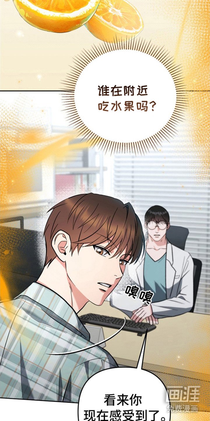 第3章：橘子皮味