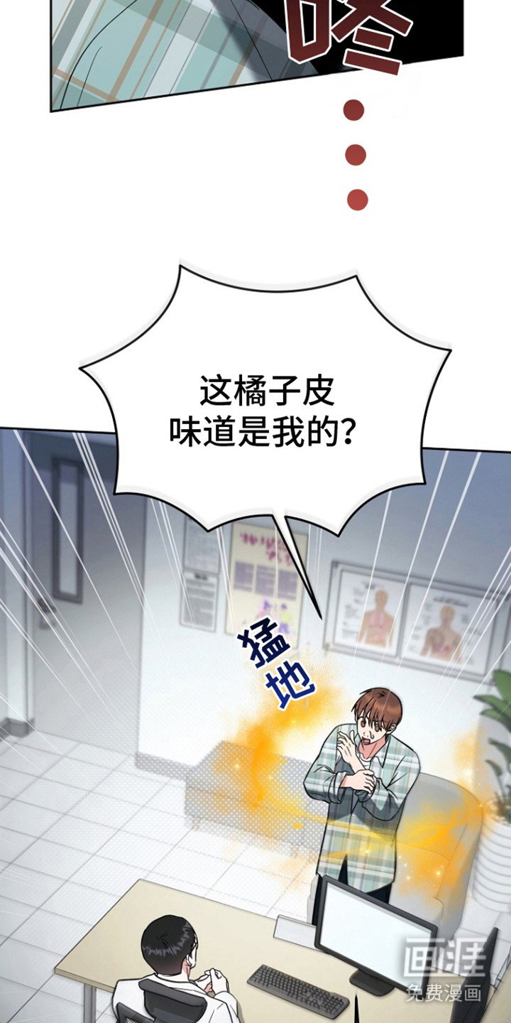 第3章：橘子皮味