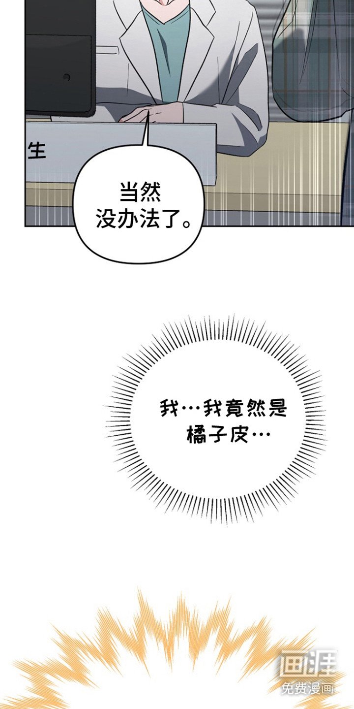 第3章：橘子皮味