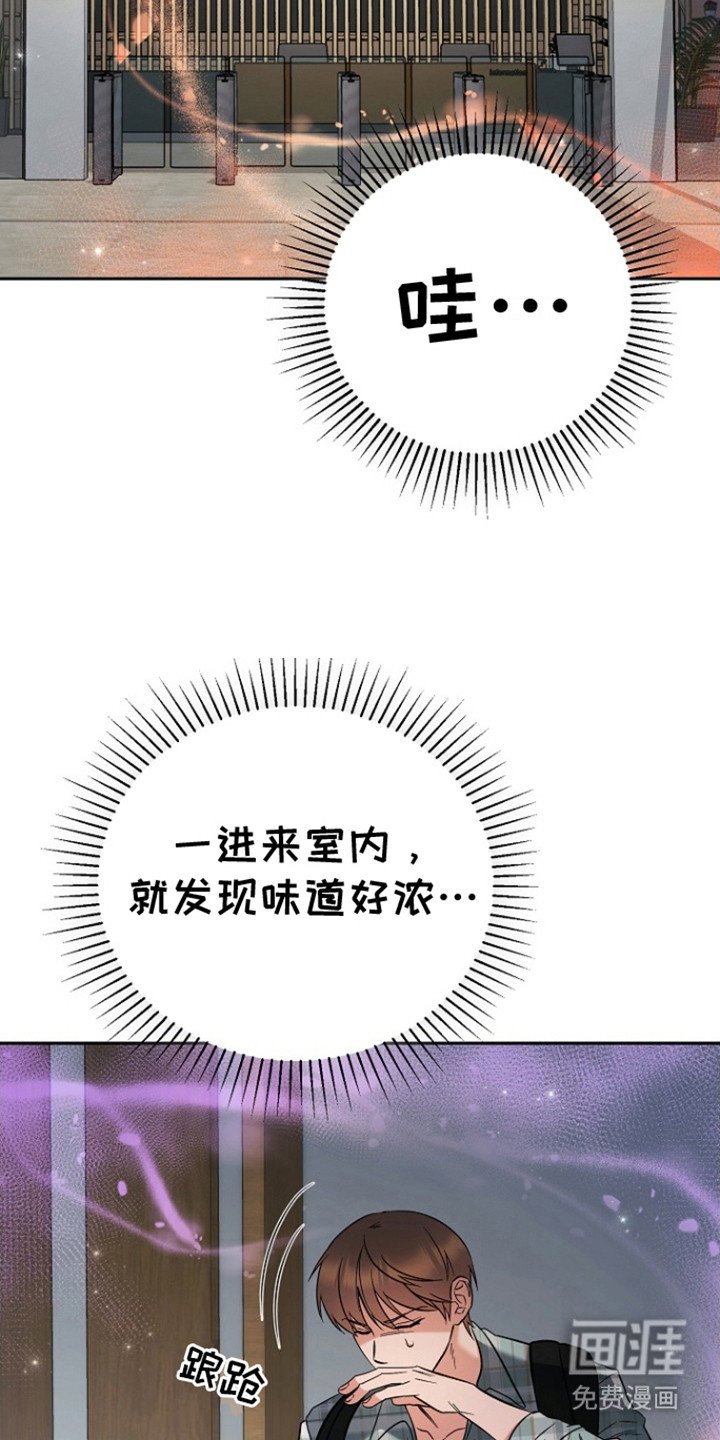 第4章：味道浓郁