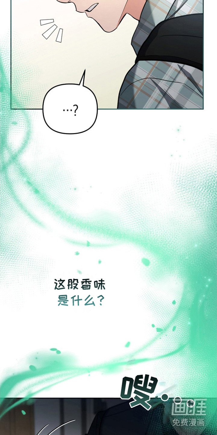 第4章：味道浓郁