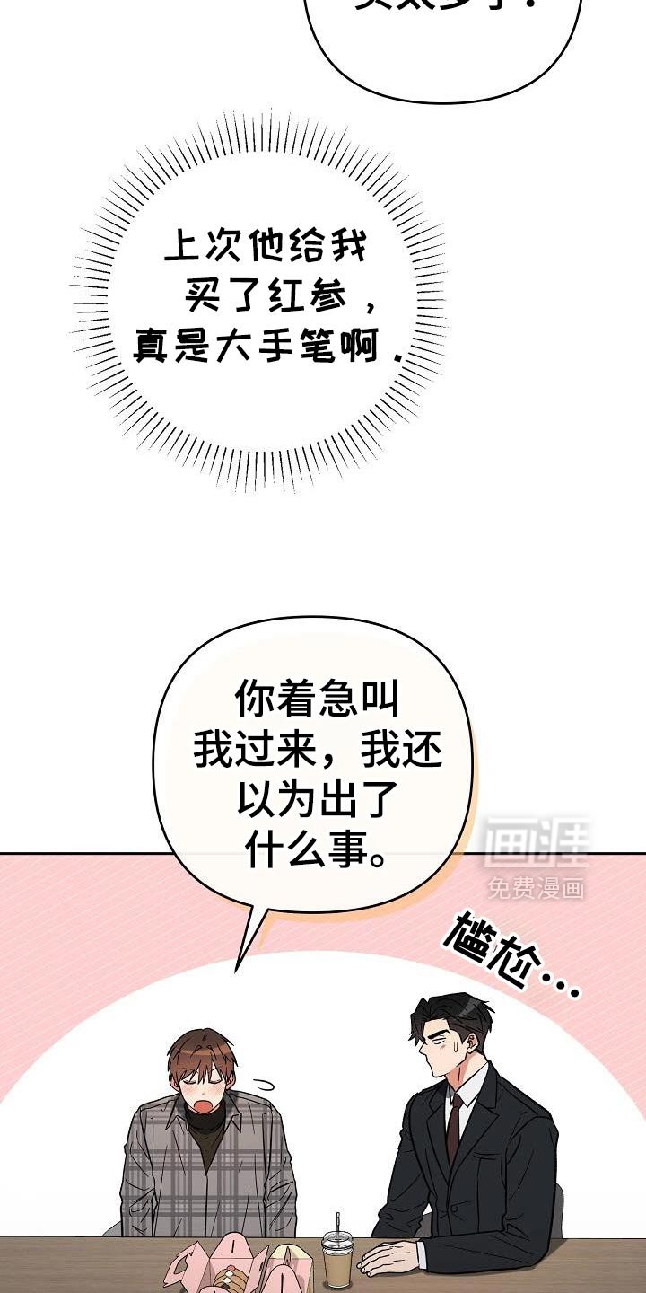 第49章：判断
