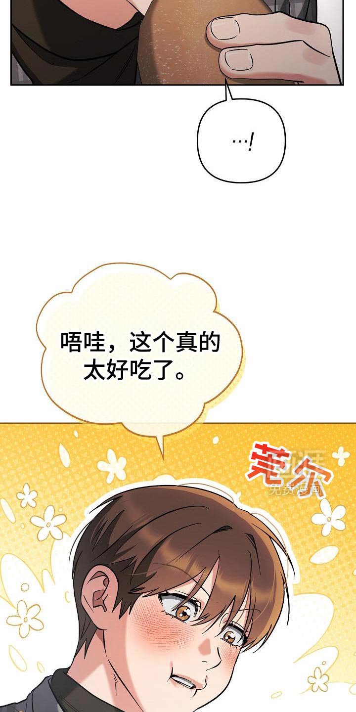 第49章：判断