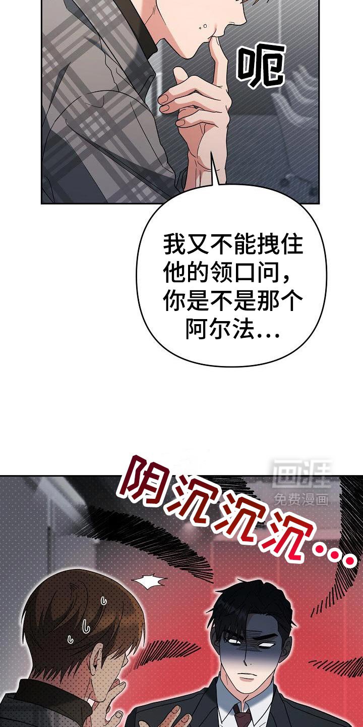 第49章：判断