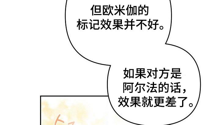 第49章：判断