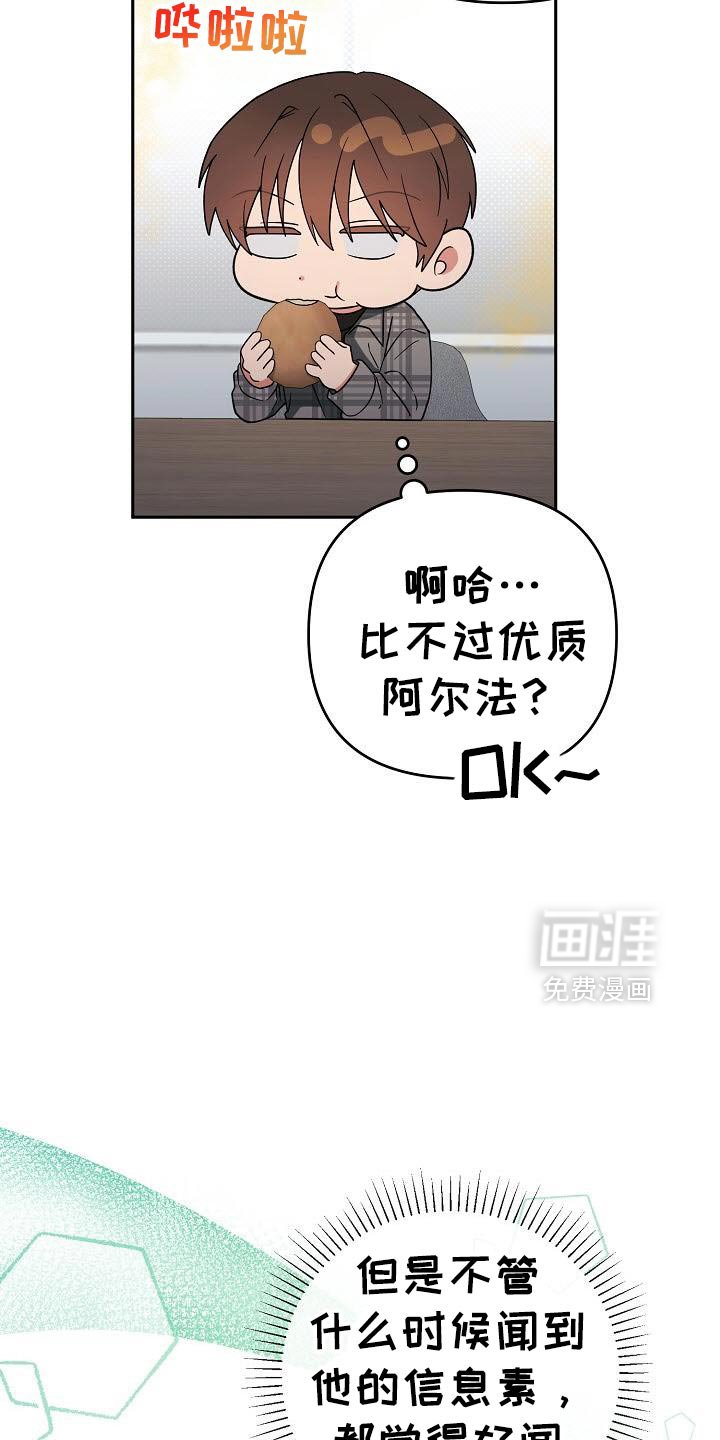 第49章：判断