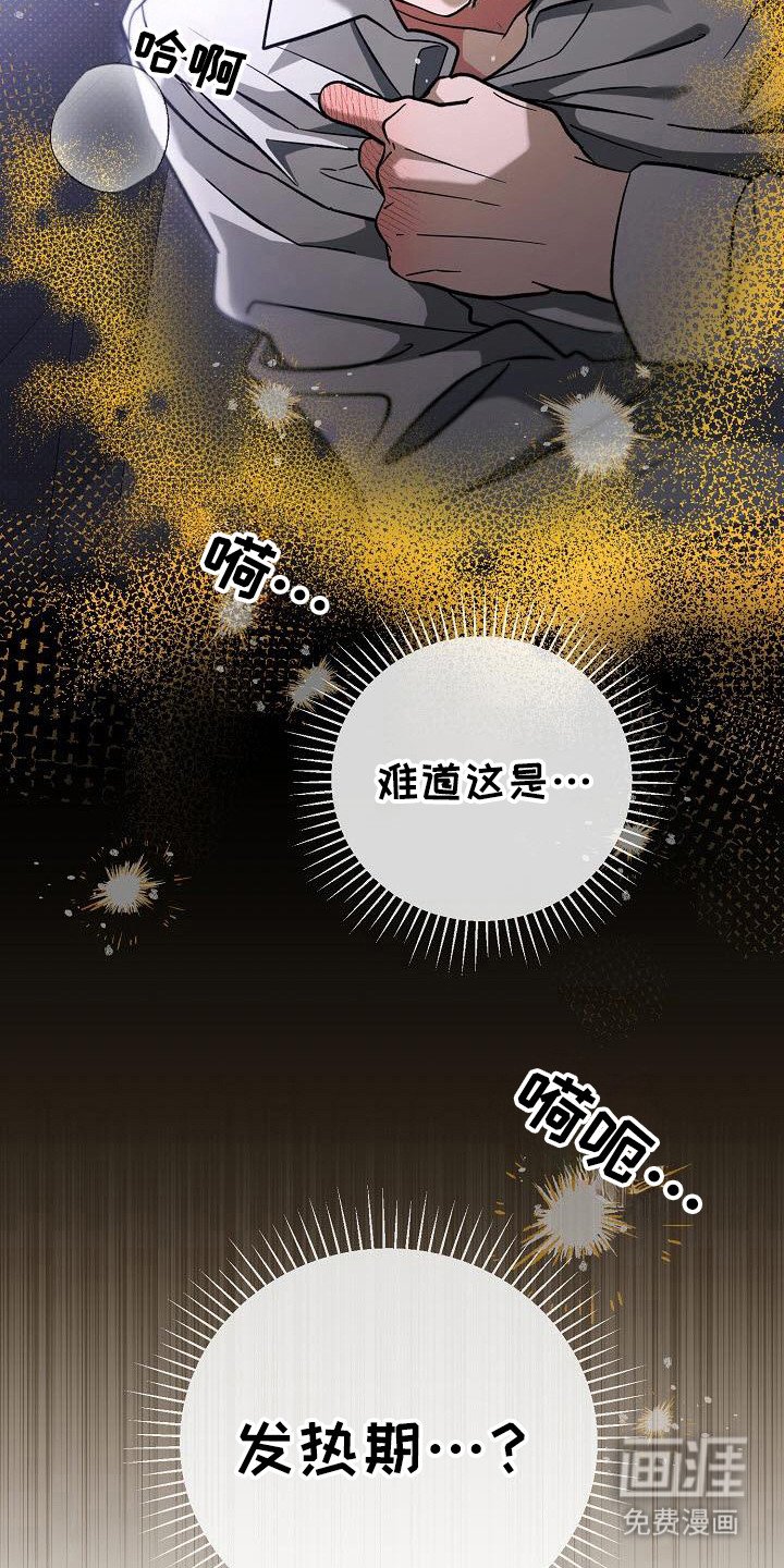 第56章：发热期？