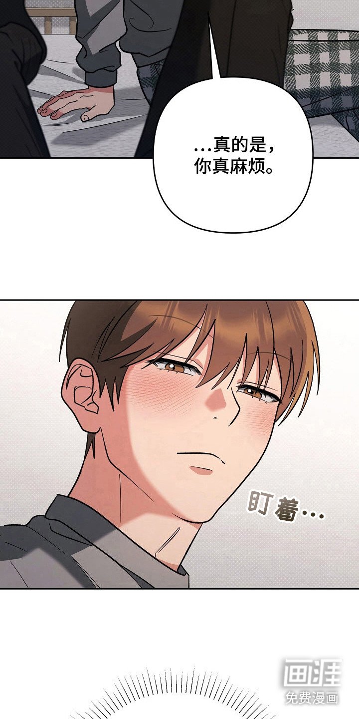 第66章：三个理由