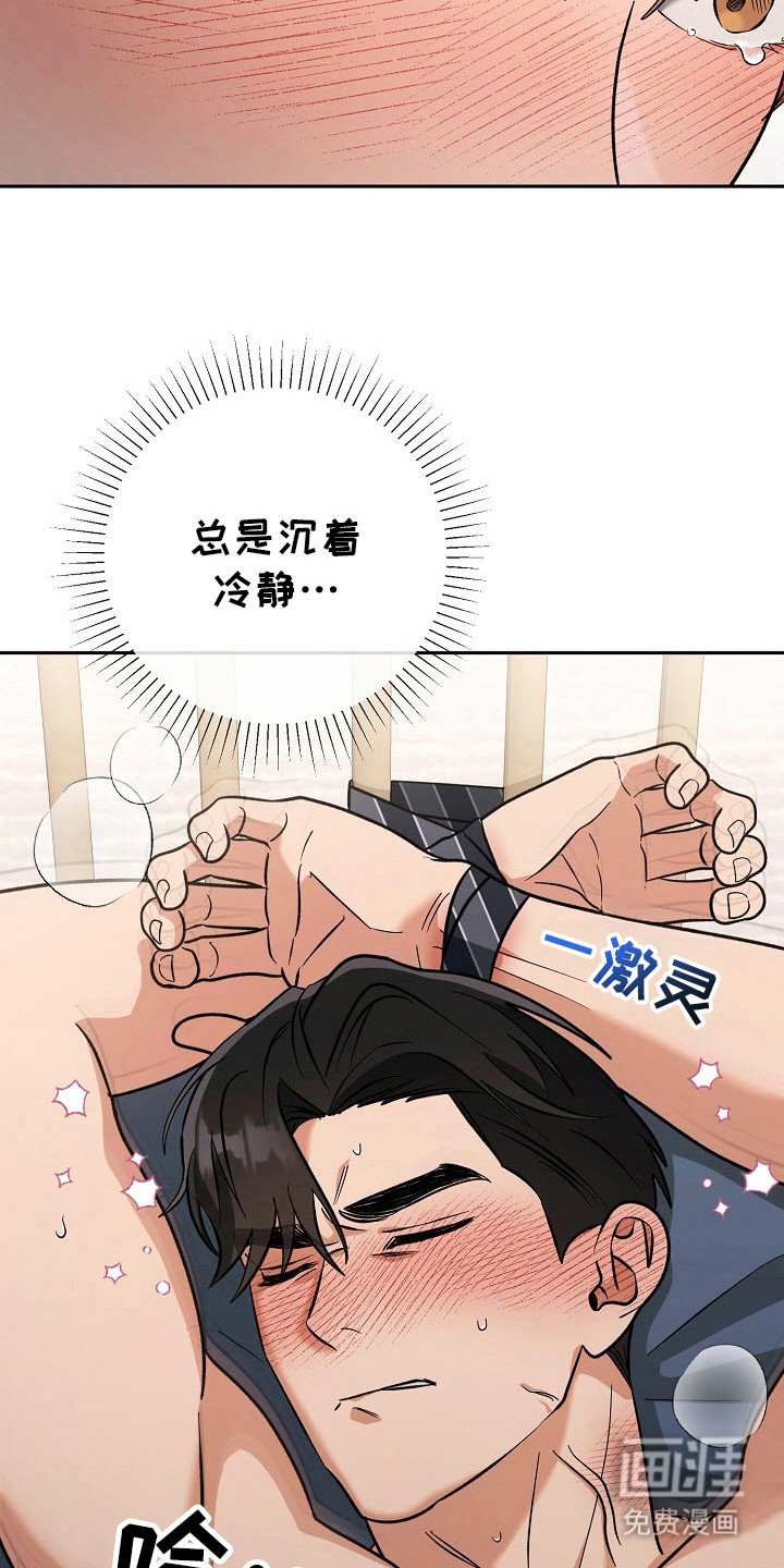 第66章：三个理由