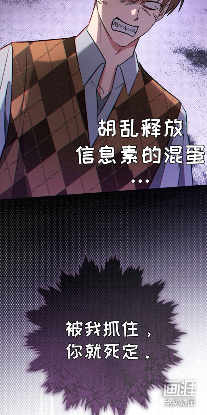 第7章：清爽的香味