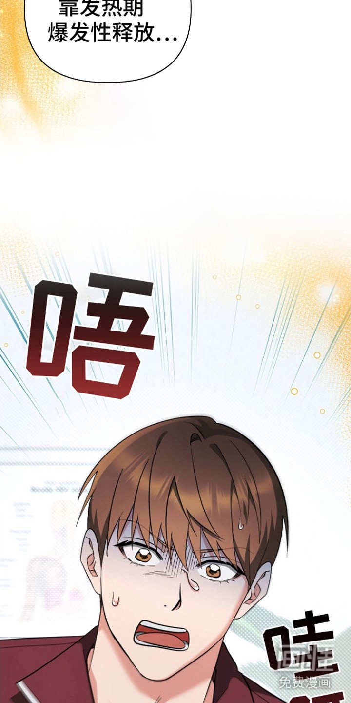 第8章：缓解办法