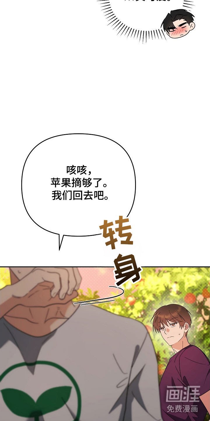 第94章：【番外】无效忘记