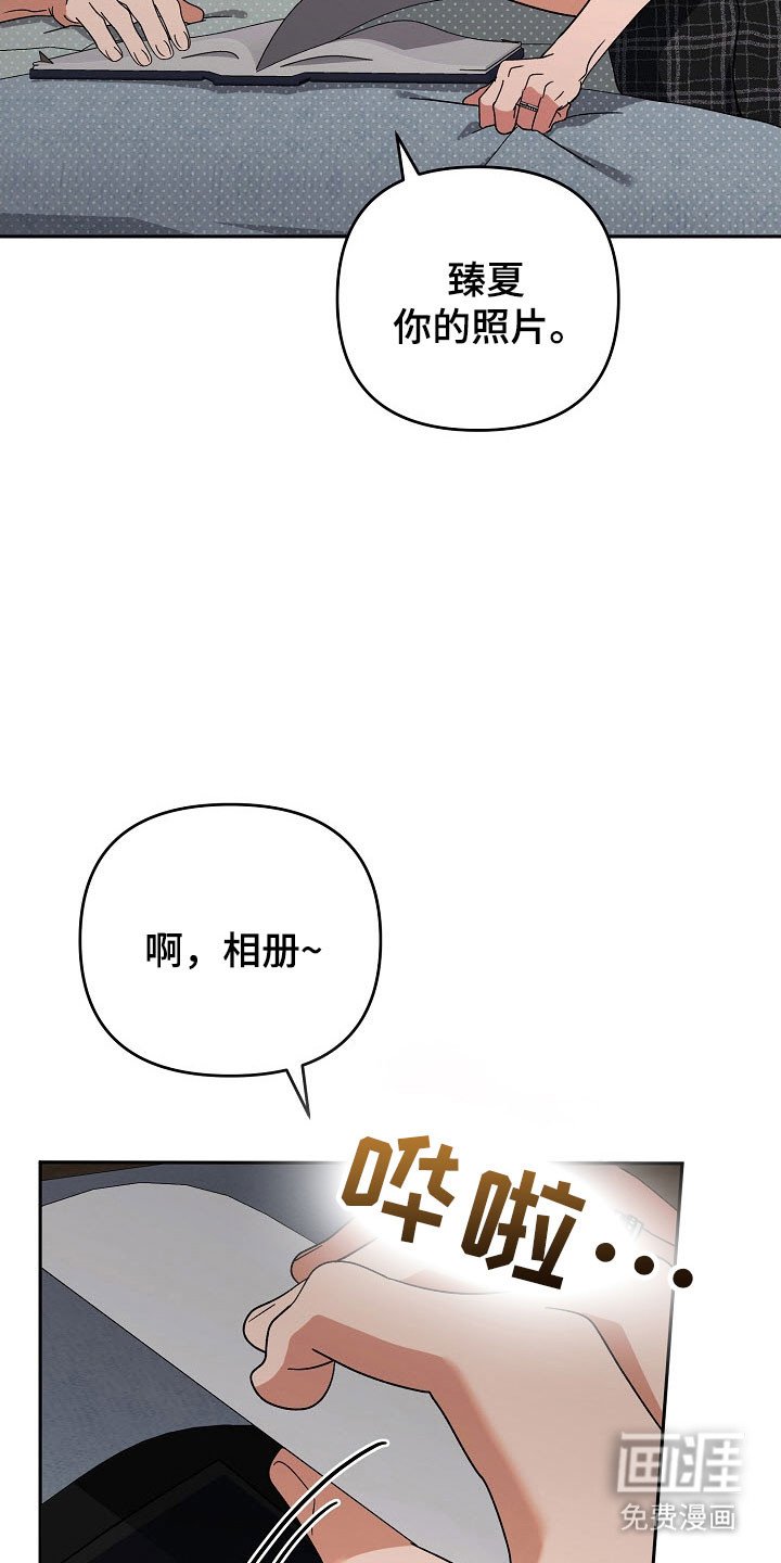 第94章：【番外】无效忘记