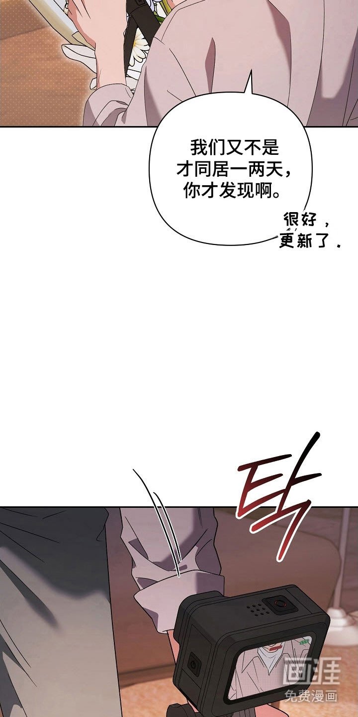 第95章：【番外】结婚项目