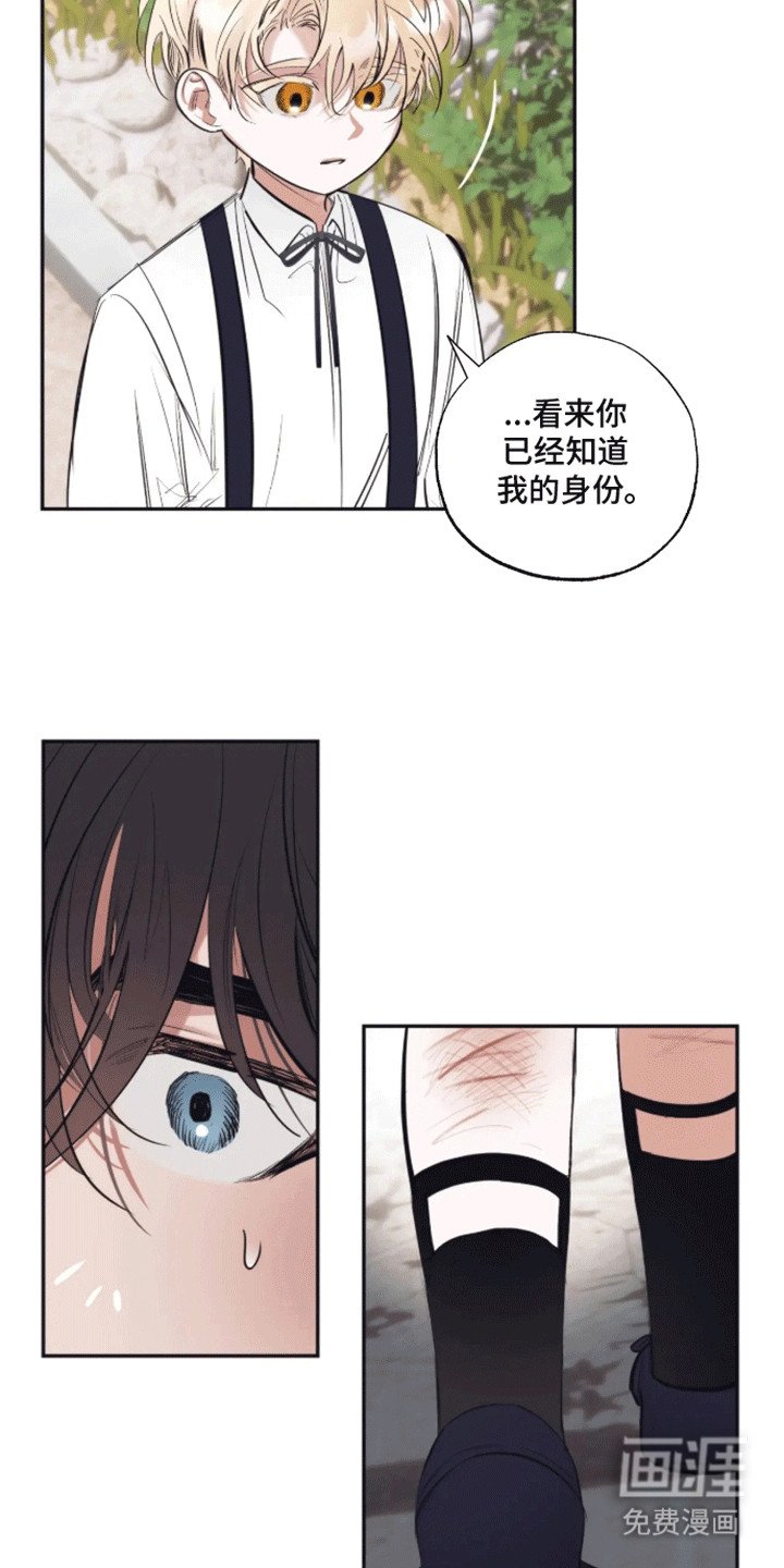 第1章：预告