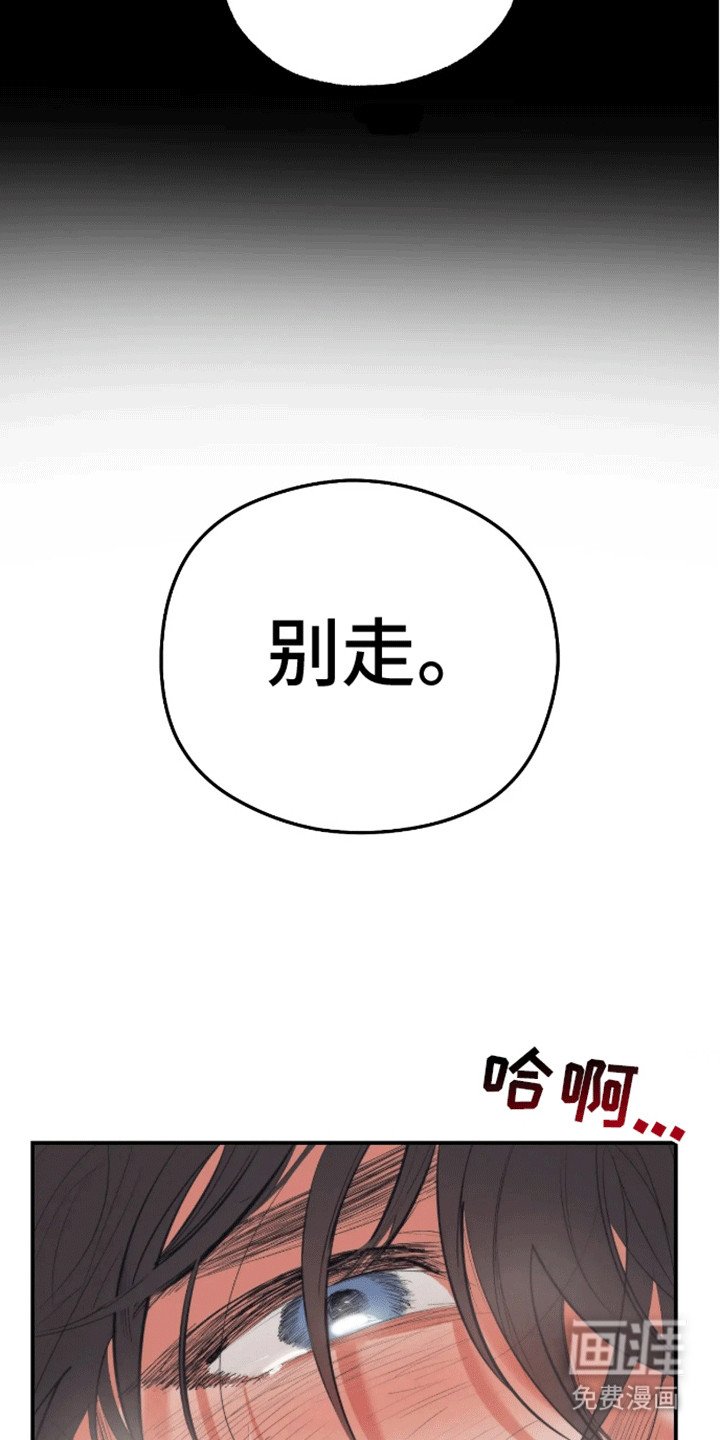 第1章：预告